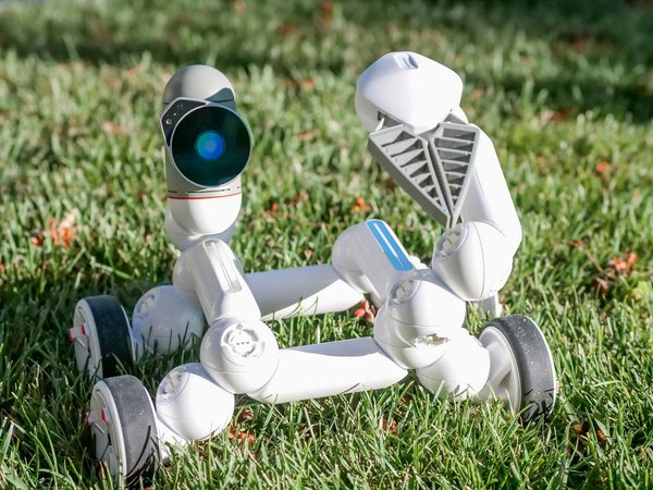 Les secrets psychologiques pour des annonces Adwords percutantes et efficaces